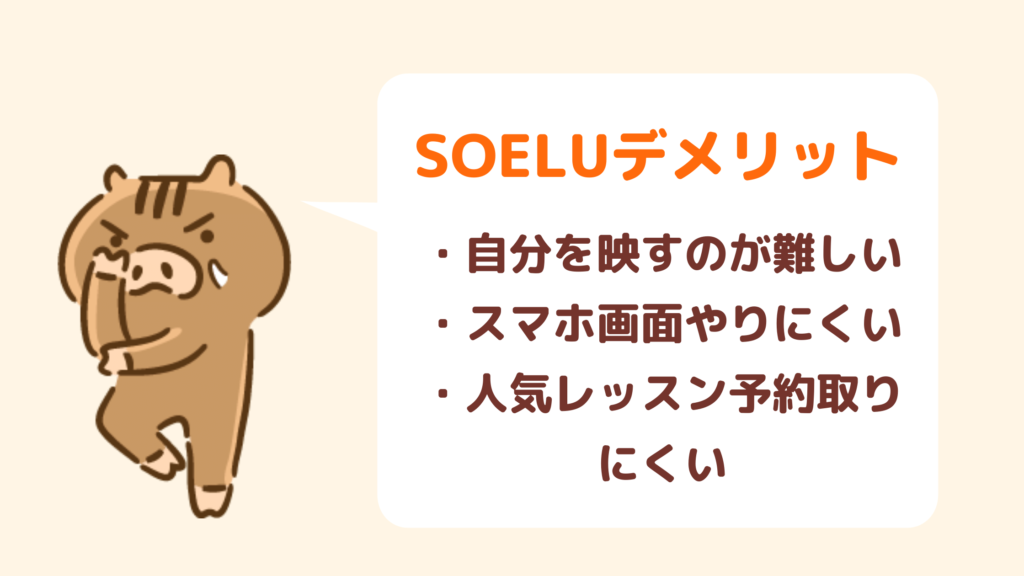 SOELUデメリット