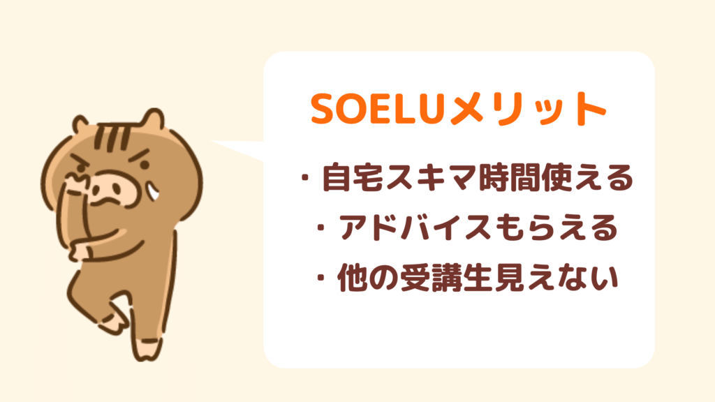 SOELUメリット