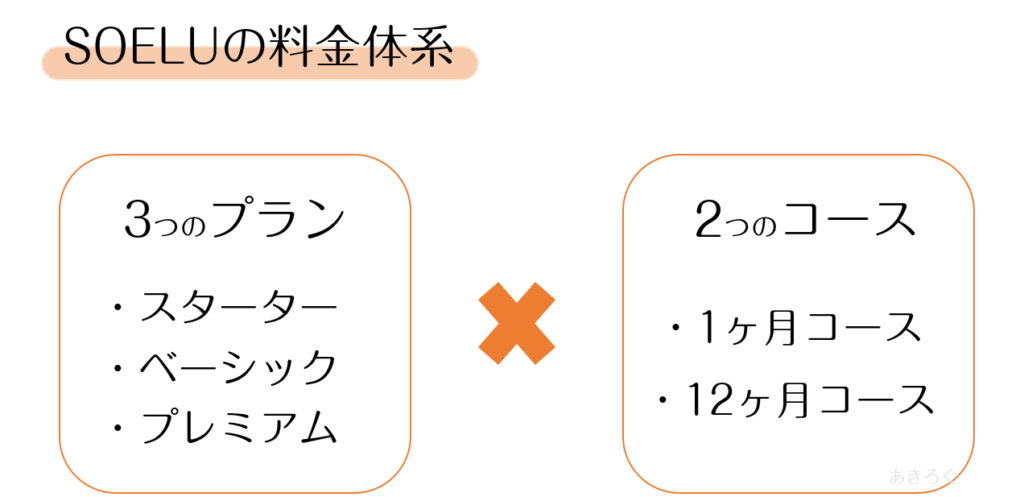 SOELU料金