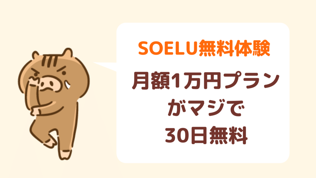 SOELU体験