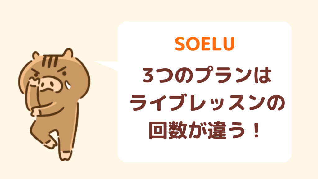SOELUプラン